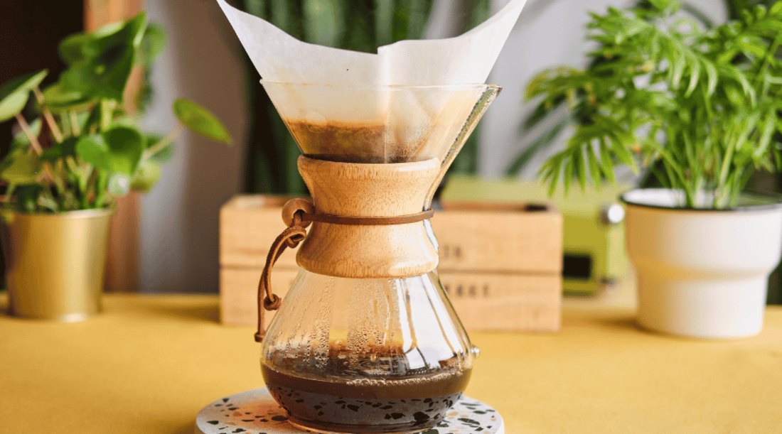 Chemex Brew Guide: How to use