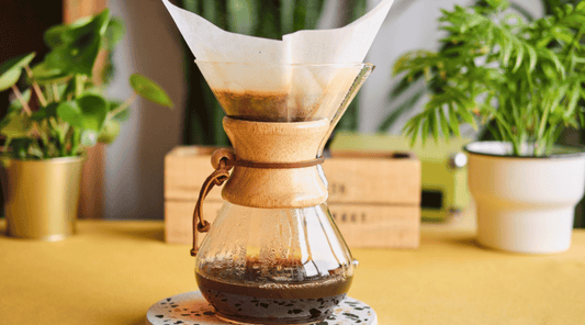Chemex Brew Guide: How to use