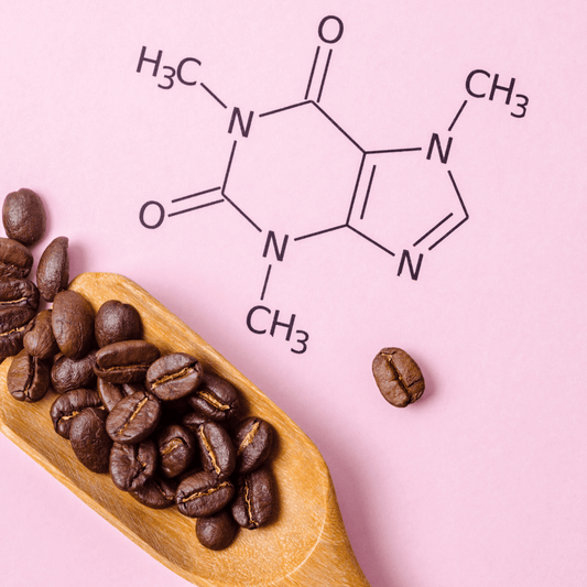 Chemical structure of caffeine”: A representation of the molecular arrangement of caffeine, consisting of carbon, hydrogen, nitrogen, and oxygen atoms